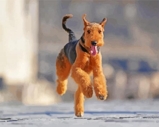 Airedale Terrier Running Paint By Number