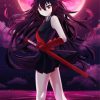 Akame Ga Kill Akame Character paint by numbers
