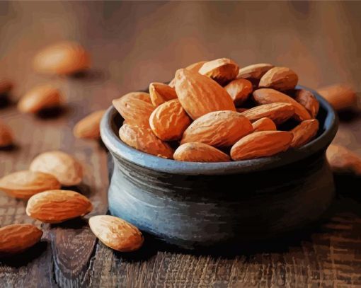 Almond Nuts Paint By Number