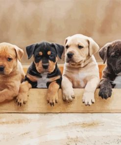 American Staffordshire Terrier Puppies paint by numbers