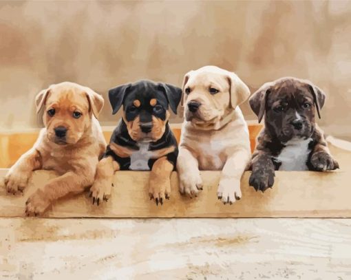 American Staffordshire Terrier Puppies paint by numbers