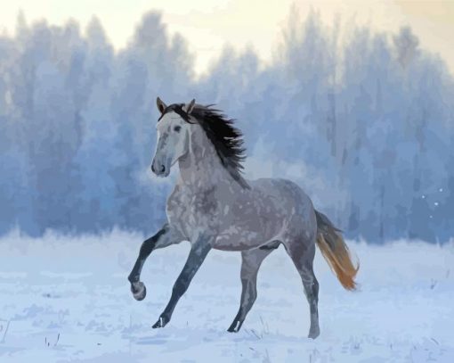Andalusian Horse in The Snow paint by numbers