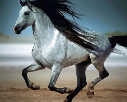Andalusian Horse Running paint by numbers