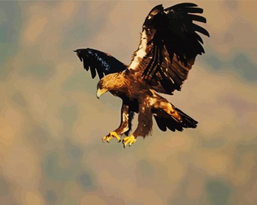 Aquila Eagle Bird paint by numbers