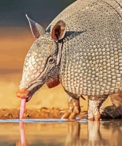 Armadillo Animal Drinking Water paint by numbers