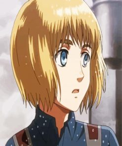 Armin Arlert Manga Anime Character Paint By Number