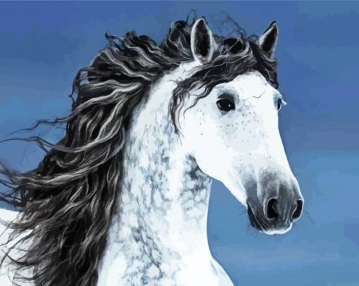 Beautiful Andalusian Horse paint by numbers