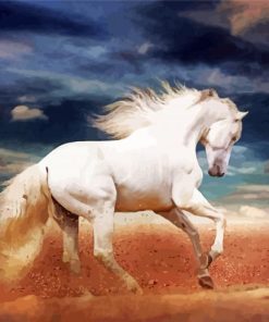 Beautiful White Andalusian Horse paint by numbers