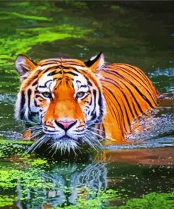Bengal Tiger Swimming paint by numbers