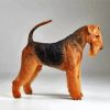 Black And Brown Airedale Terrier Paint By Number