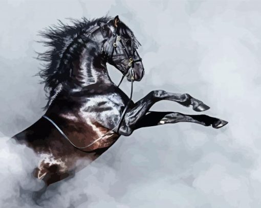 Black Andalusian Horse And Smoke Paint By Number