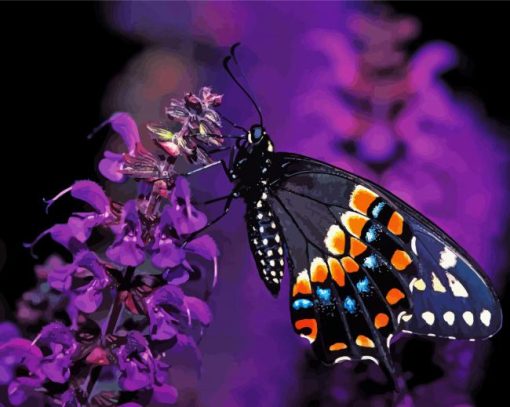 Black Swallowtail Butterfly On Flower Paint By Number