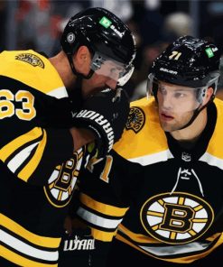 Boston Bruins Hockey Team paint by numbers