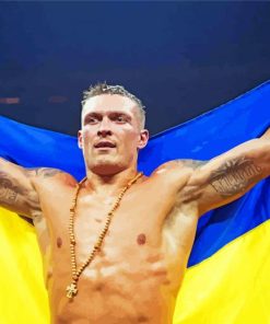 Boxer Oleksandr Usyk paint by numbers