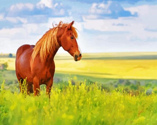 Brown Horse In Meadow Paint By Number