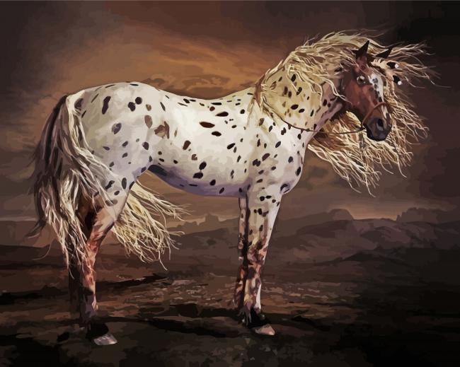 Brown Appaloosa Horse Art Paint By Number