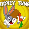 Bugs Bunny Looney Tunes Paint By Number