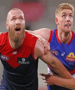 Bulldogs Vs Melbourne AFL Paint By Number