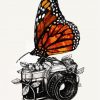 Butterfly On Camera Paint By Number