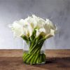 Calla Lily Glass Vase Paint By Number