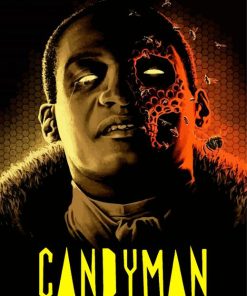 Candyman Horror Movie Paint By Number
