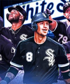 Chicago White Sox paint by numbers