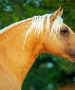 Close Up Golden Andalusian paint by numbers