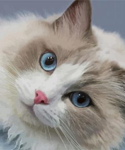 Cute Ragdoll Cat paint by numbers