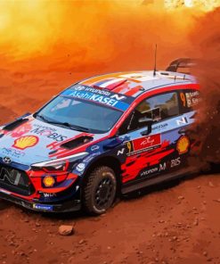 Desert Rally Race paint by numbers