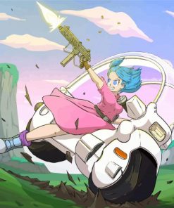 Dragon Ball Z Bulma PAINT BY NUMBERS