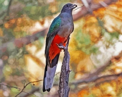 Eared Quetzal Bird Paint By Number