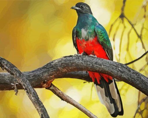 Eared Quetzal Paint By Number