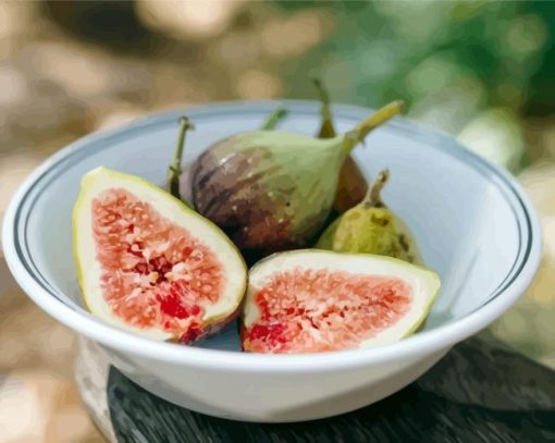Figs Bowl paint by numbers