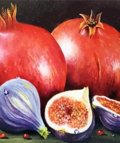 Figs and Pomegranates paint by numbers