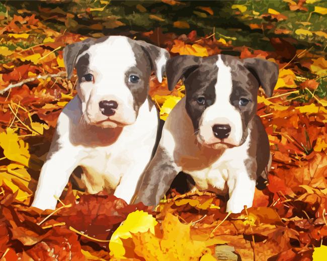 Gray American Staffordshire Terrier Paint By Number