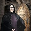 Harry Potter Severus paint by numbers