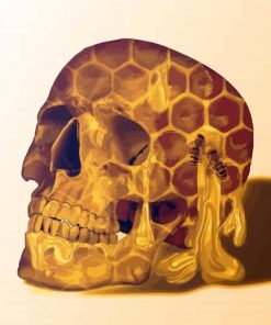 Honey Skull Head paint by numbers