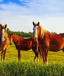 Horses In Field Paint By Number