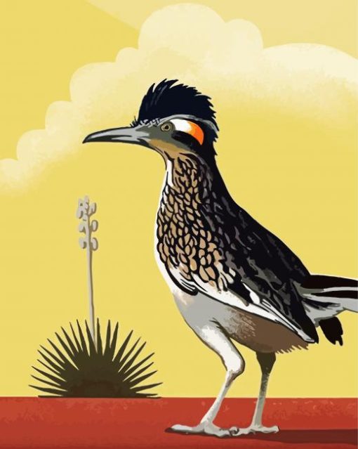 Illustration Roadrunner Bird Paint By Number