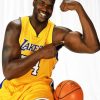 Lakers Shaquille paint by numbers