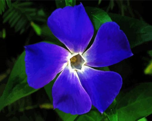 Light Indigo Flower paint by numbers
