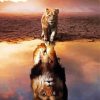 Lion Cub Reflection Paint By Number