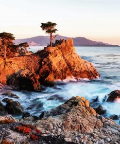 Lone Cypress Monterey California Paint By Number