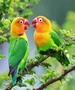 Lovebirds On Tree Paint By Number