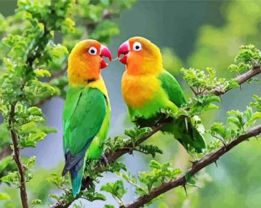 Lovebirds On Tree Paint By Number