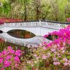 Magnolia Plantation and Gardens Charleston paint by numbers