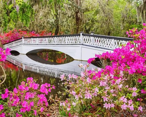 Magnolia Plantation and Gardens Charleston paint by numbers