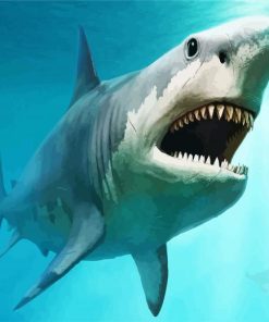 Megalodon Shark Underwater Paint By Number
