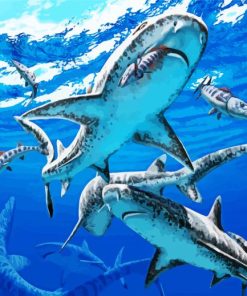 Megalodon Sharks Paint By Number
