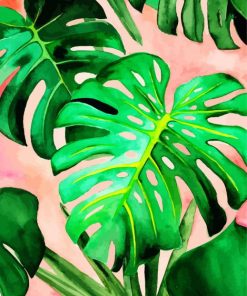 Monstera Plant Leaves paint by numbers